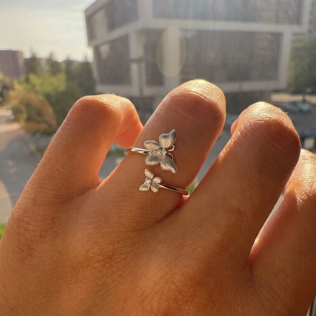 Anillo ALETEO
