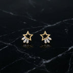 Pendientes LUCERA